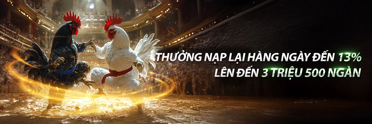 Đá gà trực tiếp Thomo trang 88 – Sân đấu kịch tính